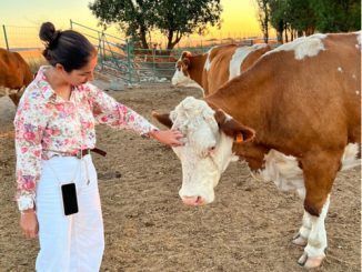 Ganadería Prado Alegre, un proyecto familiar que ha conquistado a Alberto Salto, “el AS de las Carnes”