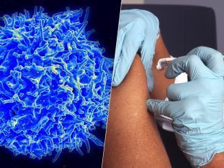 El cáncer del páncreas es uno de los más difíciles de combatir. Ahora estamos más cerca de su vacuna