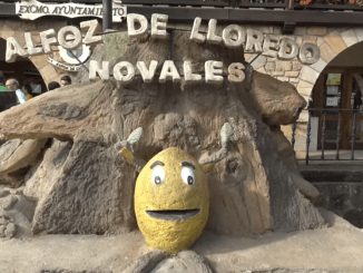 El Día 5 te invitamos a la fiesta de Limones Solidarios