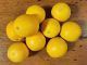 Tipos de naranjas que igual desconoces