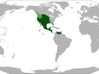 España nunca tuvo colonias en América, el Virreynato de Nueva España era España, no «de» España