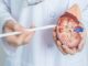La enfermedad renal crónica afecta al 15% de la población adulta española y al 33% de los mayores de 65 años
